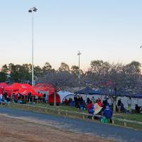 2018 Campbelltown Carnival - DSC 0004 DxO