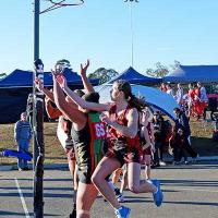 2018 Campbelltown Carnival - DSC 0019 DxO