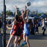 2017 Campbelltown Rep Carnival - DSC2754 DxO1